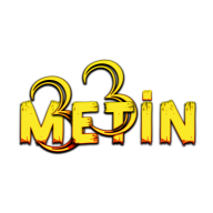 Metin33